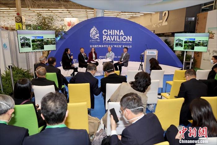 “堅(jiān)持人與自然和諧共生 共建清潔美麗世界”邊會(huì)現(xiàn)場。 余瑞冬 攝