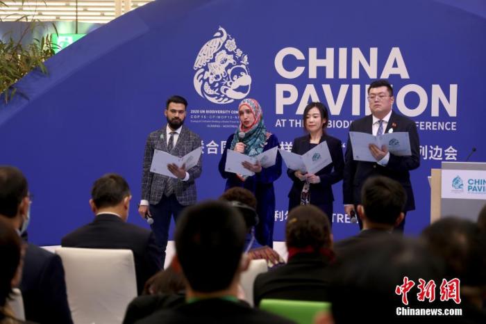 當(dāng)?shù)貢r間12月11日，在加拿大蒙特利爾舉行的《生物多樣性公約》第十五次締約方大會(COP15)第二階段會議會場內(nèi)，來自中國、巴基斯坦、英國等國家有關(guān)機(jī)構(gòu)和學(xué)校的4名青年代表共同發(fā)布《全球生物多樣性保護(hù)青年倡議》。 <a target='_blank' href='/'>中新社</a>記者 余瑞冬 攝