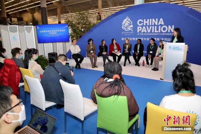 當(dāng)?shù)貢r間12月11日，在加拿大蒙特利爾舉行的《生物多樣性公約》第十五次締約方大會(COP15)第二階段會議會場內(nèi)，多國青年代表等圍繞生物多樣性保護(hù)話題進(jìn)行交流與討論。 <a target='_blank' href='/'>中新社</a>記者 余瑞冬 攝