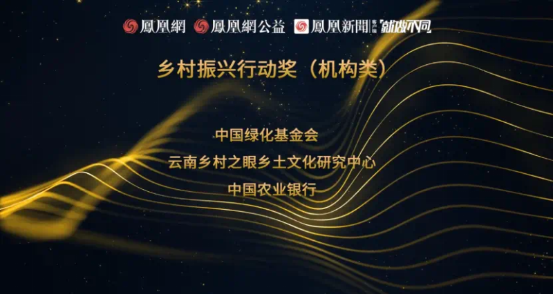 鳳凰網(wǎng)行動(dòng)者聯(lián)盟2022公益盛典揭曉11大公益獎(jiǎng)項(xiàng)，發(fā)布4款數(shù)字公益藏品