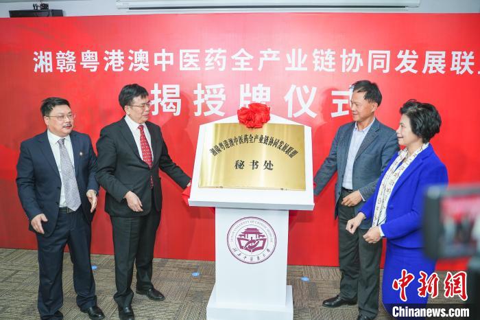 湘贛粵港澳探索中醫(yī)藥高質量發(fā)展新路徑