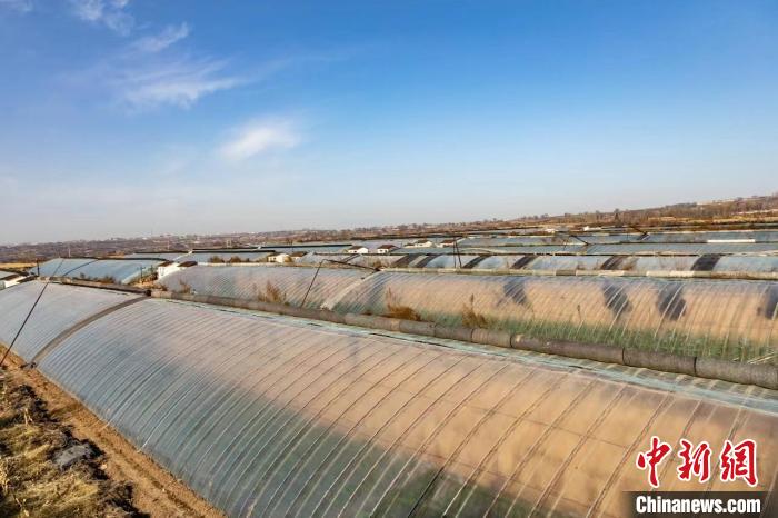 山西襄垣：農(nóng)戶“搶”時(shí)光“貓冬”增收忙