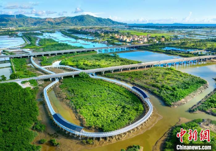 廣東陽東壽長(zhǎng)河紅樹林國(guó)家濕地公園 廣東省林業(yè)局 供圖