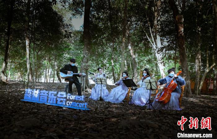森林音樂會。　蕉城區(qū)融媒體中心 供圖