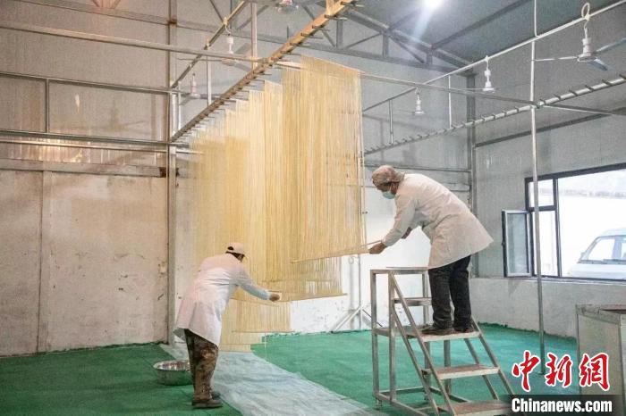 “一把手工掛面”富民:村民變“股民”好日子有奔頭