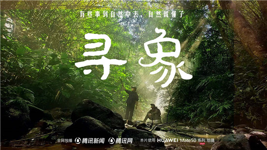 去雨林深處，聽大象長吟，自然紀(jì)錄片《尋象》正式上線！