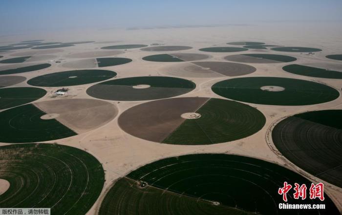 資料圖：航拍沙特東北部沙漠瓦迪達瓦西爾，圓形田野點綴其中。