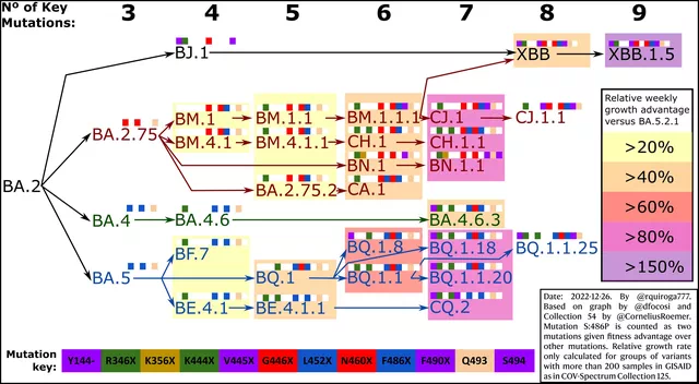 新冠病毒進化路線圖。（圖片來源：Rodrigo Quiroga）