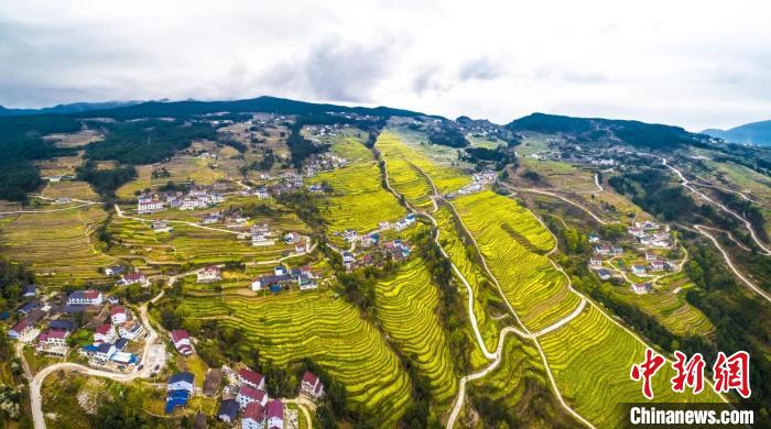 鄉(xiāng)村振興如何“興”？重慶市人大代表頻出“金點(diǎn)子”