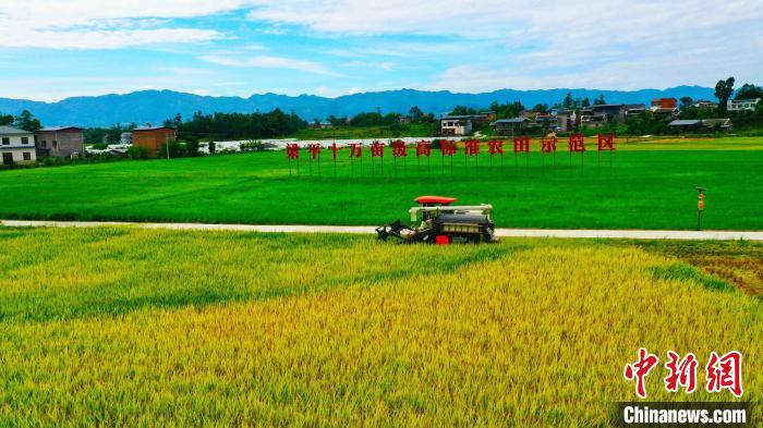 圖為梁平的機(jī)械化作業(yè)。　劉輝 攝