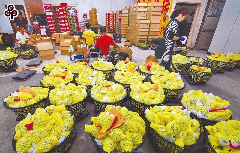 20230131003194 20230131003194