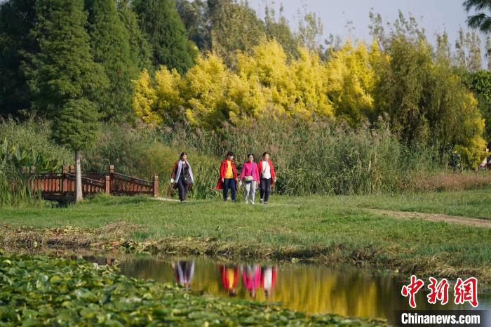 昆明滇池鳥類物種多樣性穩(wěn)定國家二級重點(diǎn)保護(hù)野生鳥類占14種