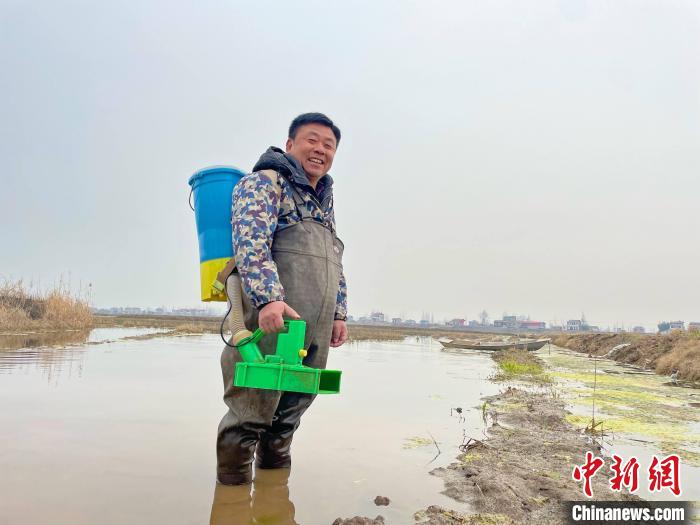 何新華在稻田查看情況，為春耕備耕做足準(zhǔn)備?！∷蚊?攝