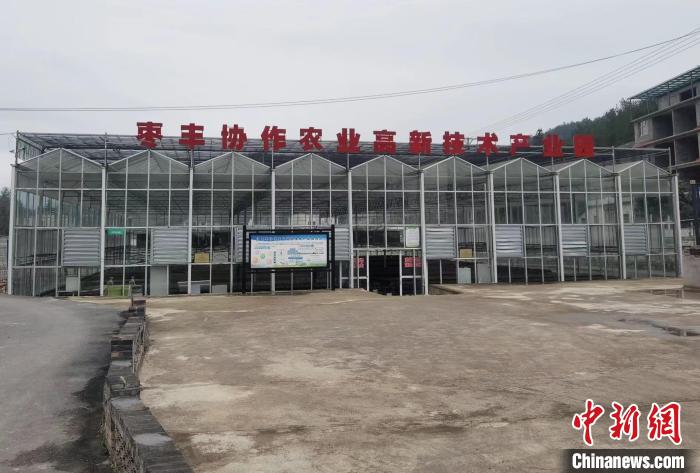 圖為位于豐都縣仙女湖鎮(zhèn)的棗豐協(xié)作農(nóng)業(yè)高新技術(shù)產(chǎn)業(yè)園?！顗粢?攝