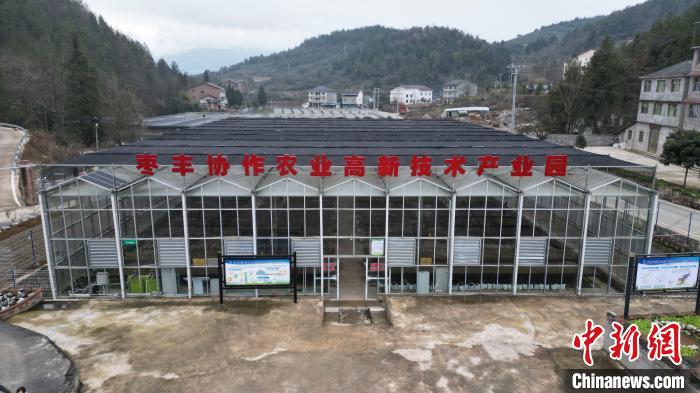 圖為棗豐協(xié)作農(nóng)業(yè)高新技術(shù)產(chǎn)業(yè)園?！≠Z楠 攝