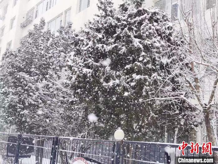 圖為呼和浩特迎降雪?！±類燮?攝