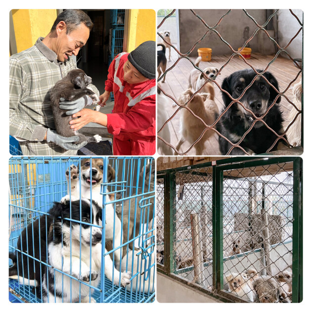 產(chǎn)品即營(yíng)銷(xiāo)，內(nèi)容即體驗(yàn) 丨7or9創(chuàng)造「一個(gè)行走的被窩」