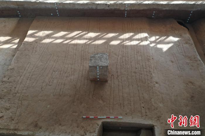 圖為D區(qū)犁溝?！“⒎繉m與上林苑考古隊(duì)供圖