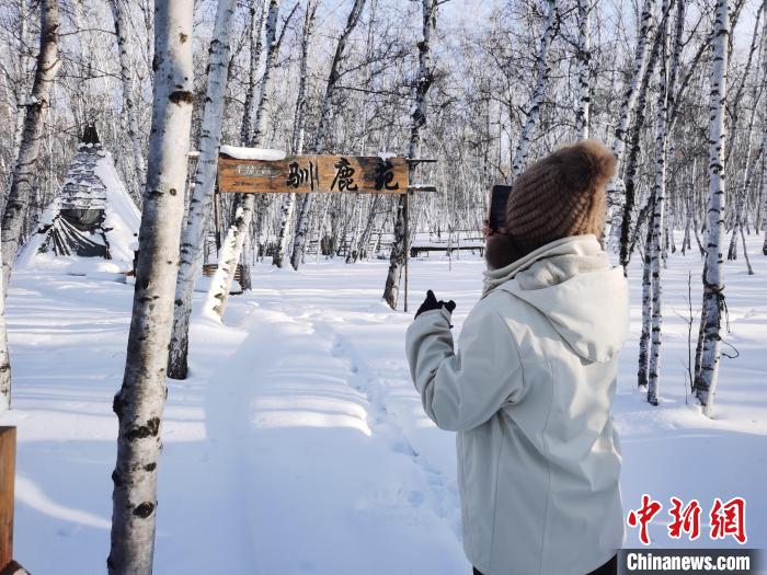 圖為行走在白樺林中的臺灣學(xué)子?！±類燮?攝