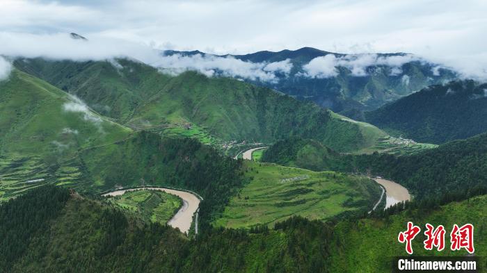 資料圖為果洛州境內(nèi)瑪可河國家森林公園?！●R銘言 攝