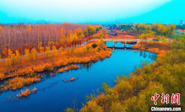 圖為棗莊蟠龍河鄒塢鎮(zhèn)段?！￡愒逝?攝