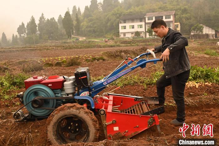 圖為“新農(nóng)人”余勤川在使用新農(nóng)具?！埿?攝