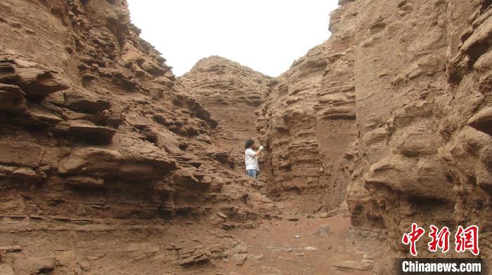 探測火星生命有何挑戰(zhàn)？國際研究稱當前部署科學儀器靈敏度不夠