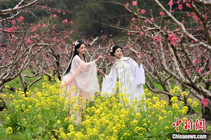 民眾在桃花盛開的地方“打卡” 連州市桃花節(jié)組委會 供圖
