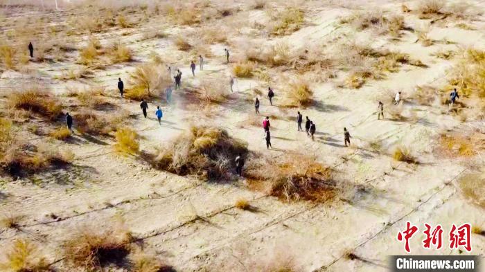 塔克拉瑪干腹地這座天邊小城如何向沙漠要效益？