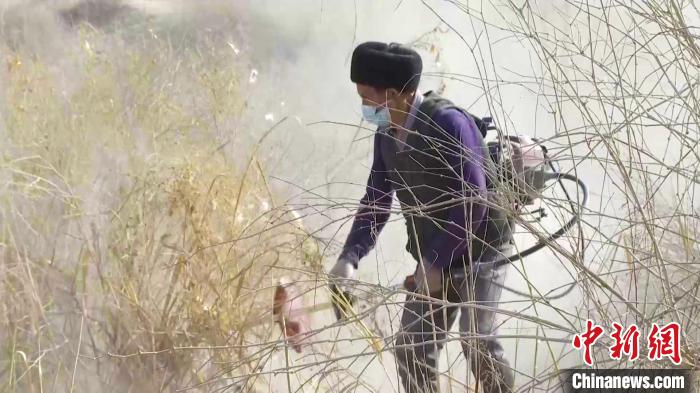 當(dāng)?shù)孛癖姙橐恢曛晁笏髽涿缧拗羧~(資料圖)?！“⒙ぐ⒘Ω?攝