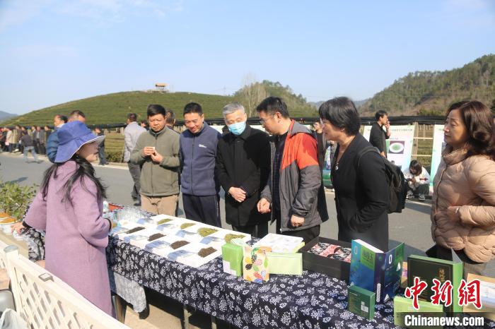 市民游客咨詢、品嘗千島湖茶?！⊥踅ú?攝