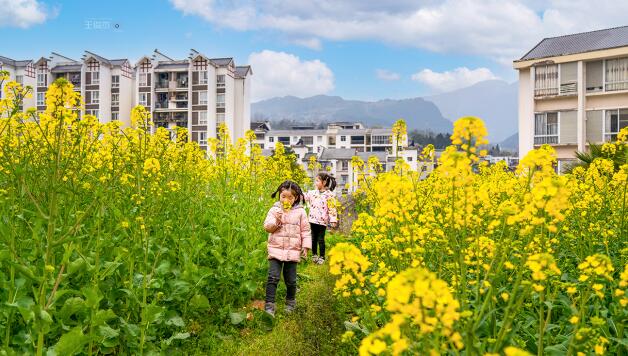 20230307022410856 20230307022410856