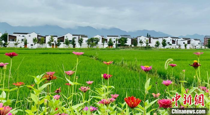 （兩會觀察）代表委員關(guān)注農(nóng)村共同富裕：鄉(xiāng)村發(fā)展如何有“人”可用？