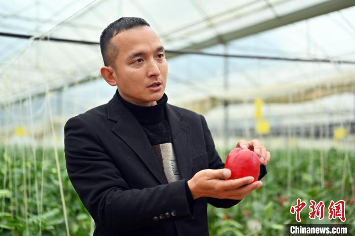 圖為賀州市返鄉(xiāng)創(chuàng)業(yè)的“新農(nóng)人”包國倫接受<a target='_blank' href='/' >中新網(wǎng)</a>記者采訪?！∮峋?攝