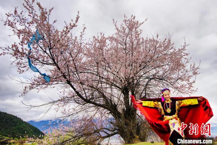 林芝桃花與身著工布服飾的姑娘?！×种ナ新糜伟l(fā)展局 供圖