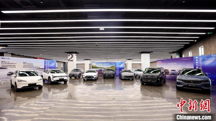 新能源汽車展覽?！¤F西區(qū)委宣傳部 攝