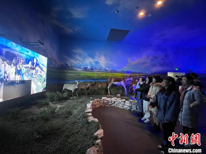 圖為此次活動受邀嘉賓參觀玉樹州博物館?！±罱瓕?攝