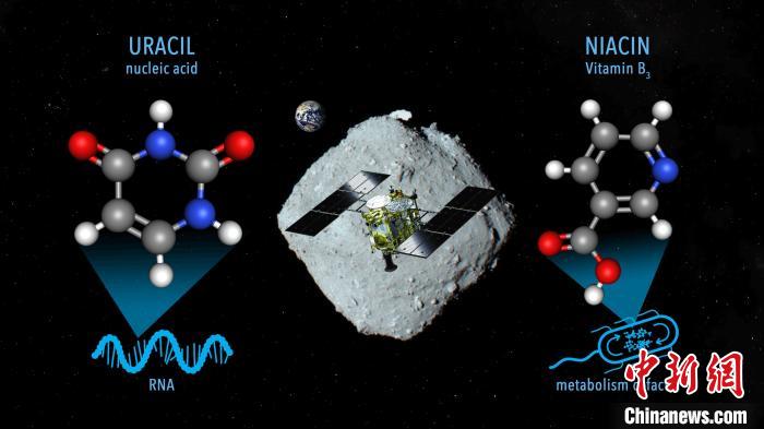 國際最新研究稱，近地小行星“龍宮”上發(fā)現(xiàn)尿嘧啶等核酸堿基