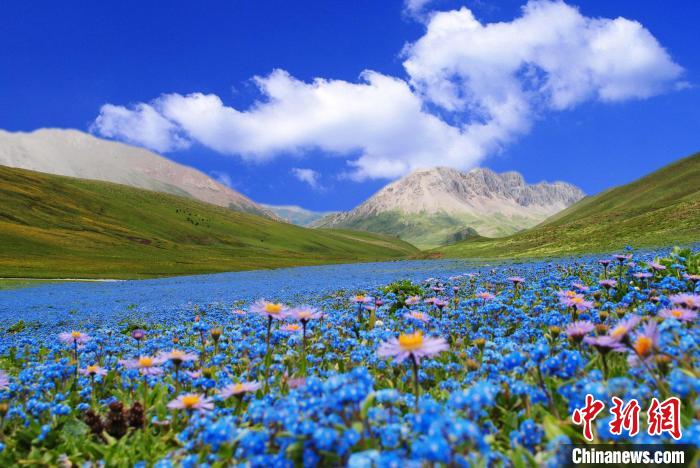 圖為雜多縣風(fēng)光?！‰s多縣委宣傳部供圖