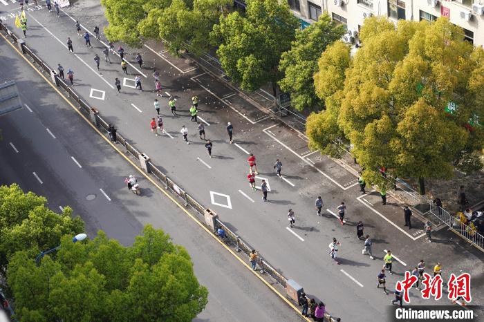 春日的橫馬賽道，滿眼皆綠。　董易鑫 攝