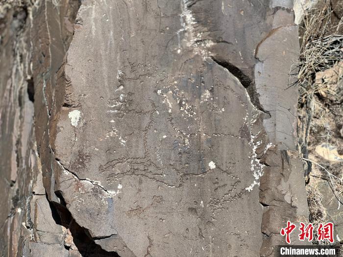 圖為稱多縣境內(nèi)的巖畫(huà)?！±罱瓕?攝