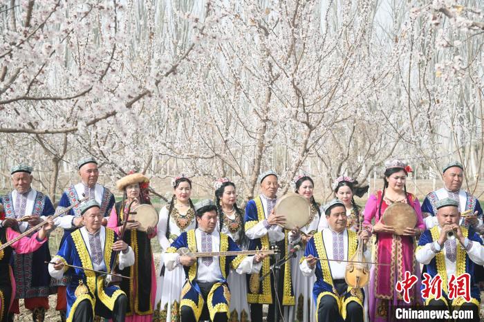 圖為英吉沙縣民間藝人用艾捷克、手鼓、熱瓦普、沙巴依等8種樂(lè)器，一起奏響《杏花園里的歡樂(lè)》?！O亭文 攝