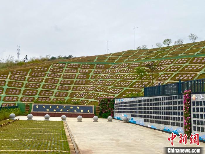 圖為崖坡葬?！×譂嶇?攝