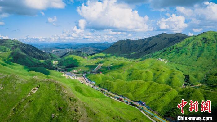 柘榮鴛鴦草場。　袁鑌 　攝