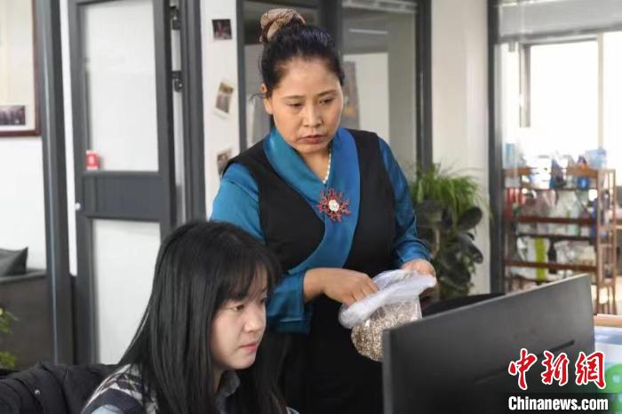 圖為尕旦木草與同事查詢青稞電商銷售情況?！〈魑牟?　攝