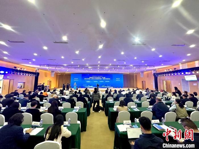 圖為活動現(xiàn)場。　四川省臺辦供圖