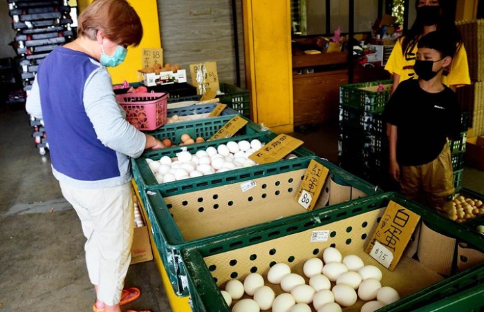 臺(tái)東蛋商表示在地供應(yīng)量無(wú)虞 臺(tái)東蛋商表示在地供應(yīng)量無(wú)虞