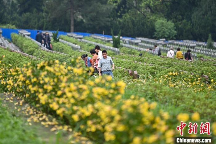 港澳同胞清明廣州祭祖:通關(guān)便利祭掃順利