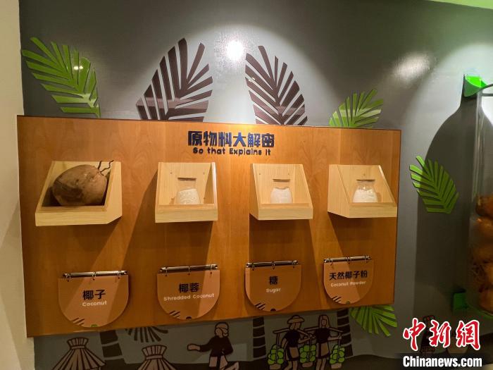 春光椰子王國(guó)里的椰子糖原物料展示。　路梅 攝