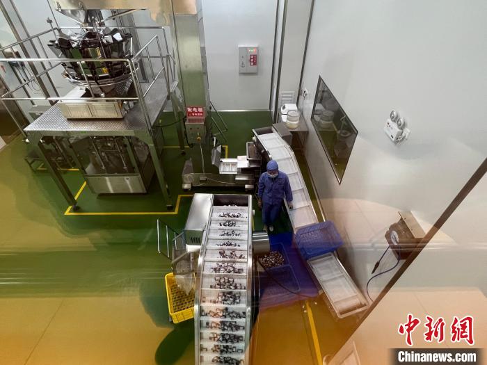 春光椰子王國(guó)里的可視化生產(chǎn)車間?！÷访?攝